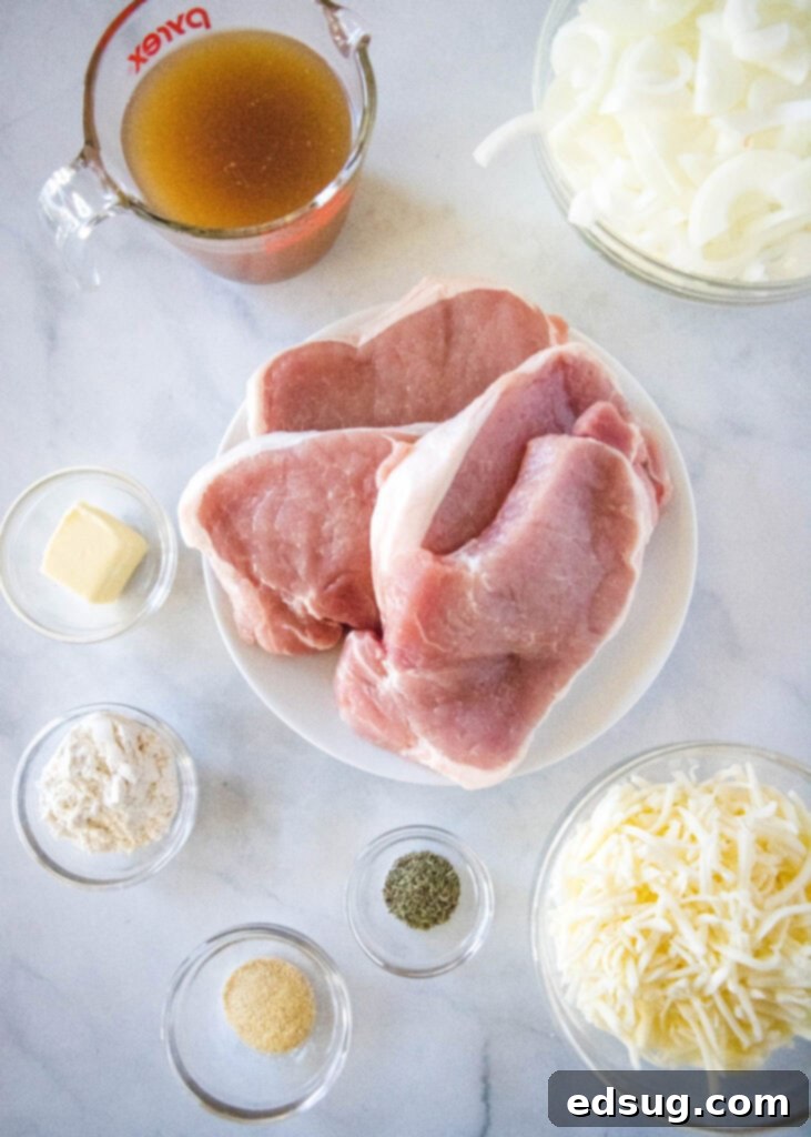 Caramelized French Onion Pork Chops 3 ingredients laid out for french onion pork chops including onions, butter, beef broth, and cheese