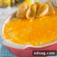Creamy Green Chile Enchilada Dip 6 Green Chili Enchilada Dip - Get ready for game day with a creamy, cheesy, green chili enchilada dip recipe!