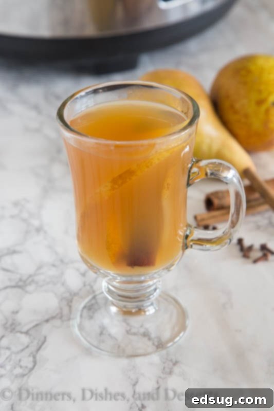 Spiced Pear Nectar 4 Close-up of a mug of slow cooker spiced pear cider with visible cinnamon stick and thin pear slices, showing the rich color of the drink.