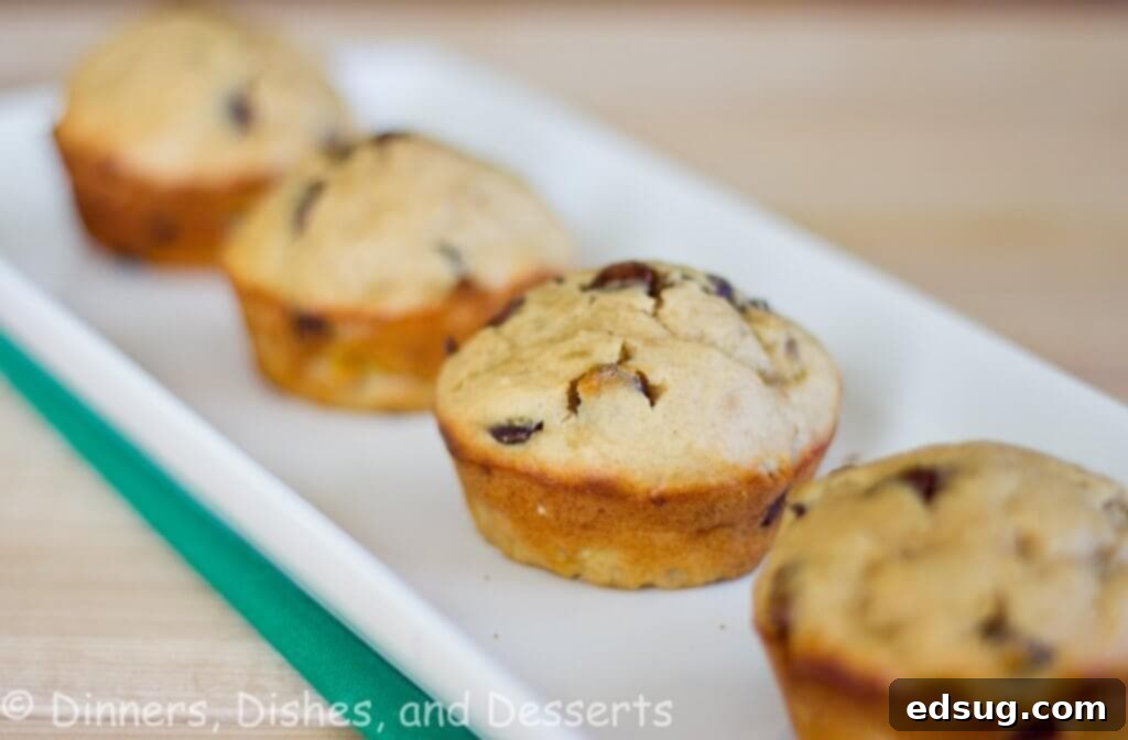 Peanut Butter Banana Chocolate Chip Muffins - use those over ripe bananas to make moist banana muffins with peanut butter and chocolate chips.