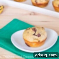 Peanut Butter Banana Chocolate Chip Muffins