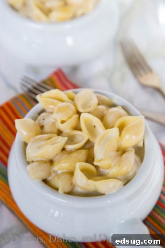 A large bowl of finished Panera Mac and Cheese, showcasing its rich and creamy texture.