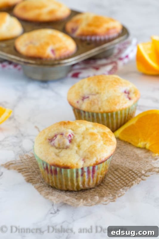 Tangerine Raspberry Muffins - Light and fluffy muffins with lots of fresh juicy raspberries and bursts of tangerine. The perfect way to start the day.