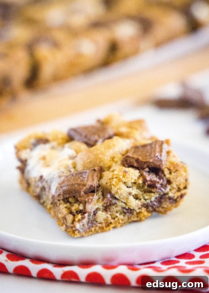 A single S'mores Cookie Bar on a white plate, showcasing the distinct layers of graham cracker, cookie, and melted marshmallow and chocolate.