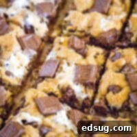 Sliced S'mores Cookie Bars close-up, showing rich chocolate and gooey marshmallow.