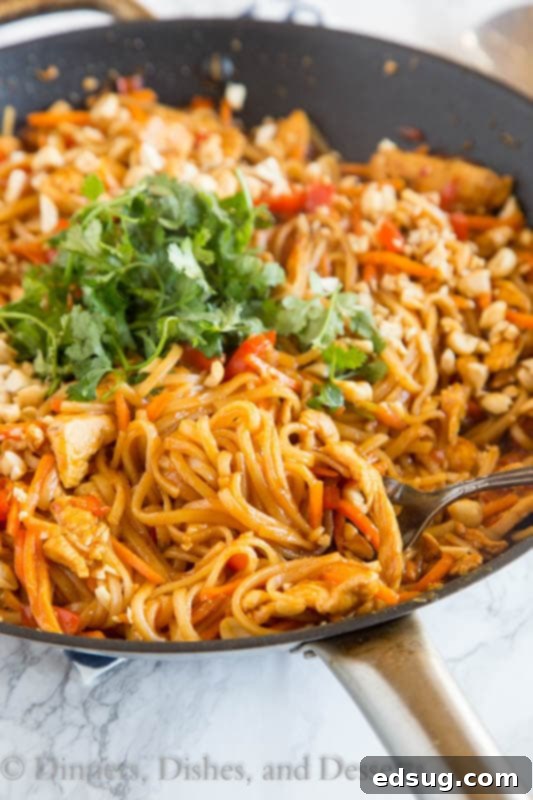 Fiery Thai Chicken Noodles 2 A large skillet filled with vibrant spicy Thai noodles with chicken, ready to be served.