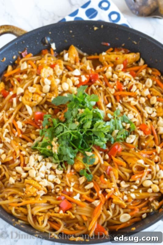 Fiery Thai Chicken Noodles 5 Close-up shot of a single serving of spicy Thai noodles with chicken, garnished with cilantro and peanuts.