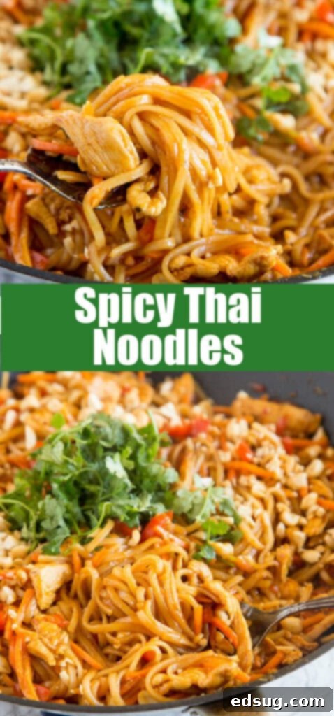 Fiery Thai Chicken Noodles 6 Close-up view of spicy Thai noodles with chicken, showing the rich sauce coating the noodles and vibrant vegetables in a large skillet.