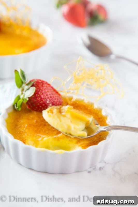 Caramelized Custard Delight 2 Perfectly caramelized creme brulee in a ramekin, ready to be served