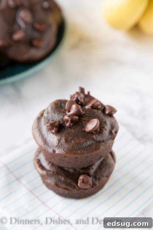 Effortless Chocolate Banana Oatmeal Muffins 4 A close up of a chocolate cake on a plate, with Muffin and Oatmeal