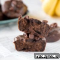 Effortless Chocolate Banana Oatmeal Muffins 6 Chocolate Banana Oatmeal Blender Muffins - gluten free, healthy, muffins that will get your day started right! Super quick and easy and the freezer well too!