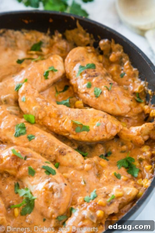 Chicken in Creamy Salsa 2 A close up of a Chicken and Salsa