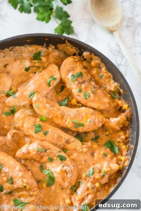 Chicken in Creamy Salsa 4 A dish is filled with food, with Chicken and Salsa