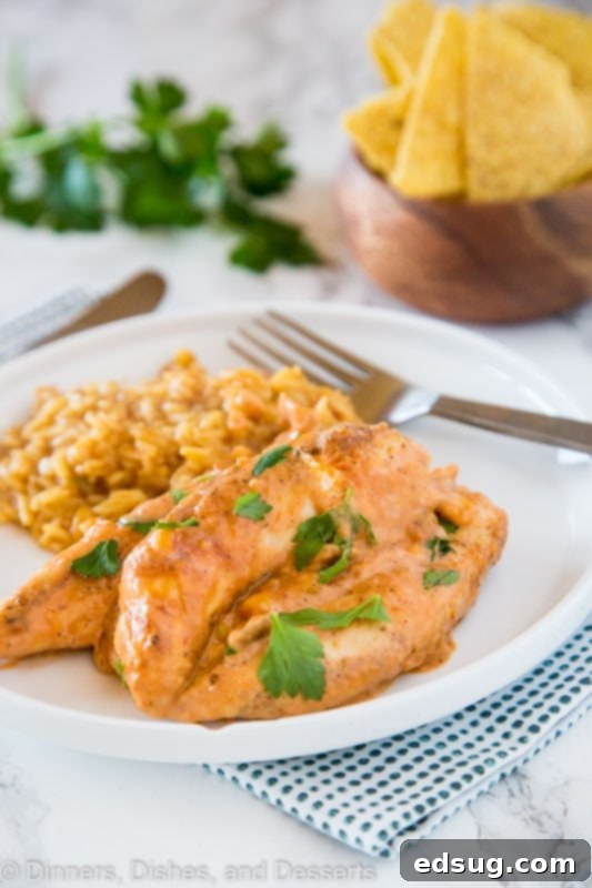 Chicken in Creamy Salsa 5 A plate of food on a table, with Chicken and Salsa