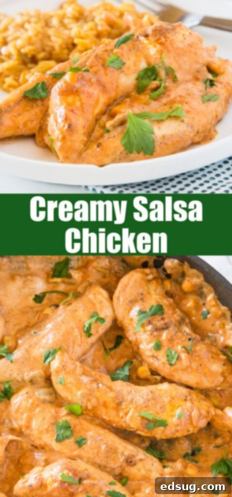 Chicken in Creamy Salsa 6 close up creamy salsa chicken for pinterest