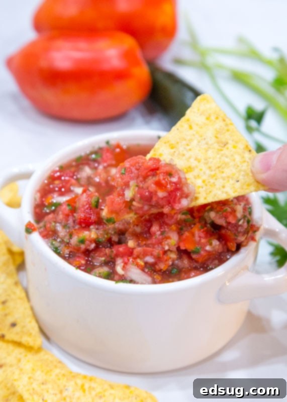 Zesty Homemade Salsa 2 chip dipped in fresh salsa
