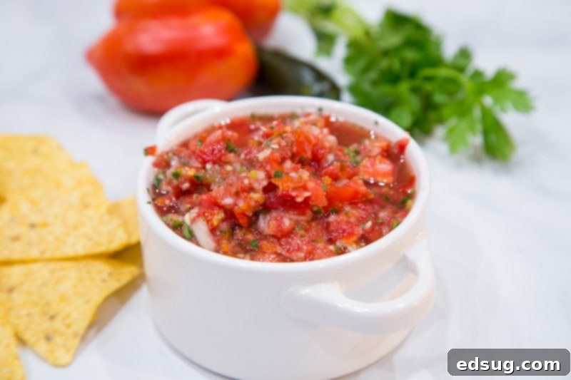 Zesty Homemade Salsa 4 fresh salsa in bowl with chips