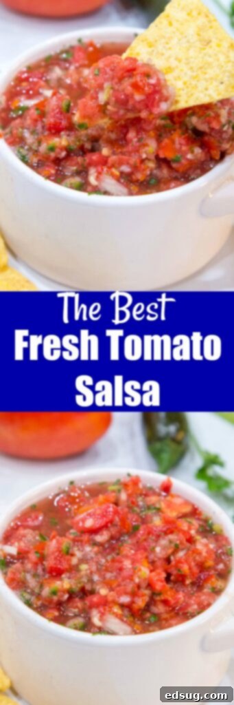 Zesty Homemade Salsa 5 Fresh Salsa Recipe close up