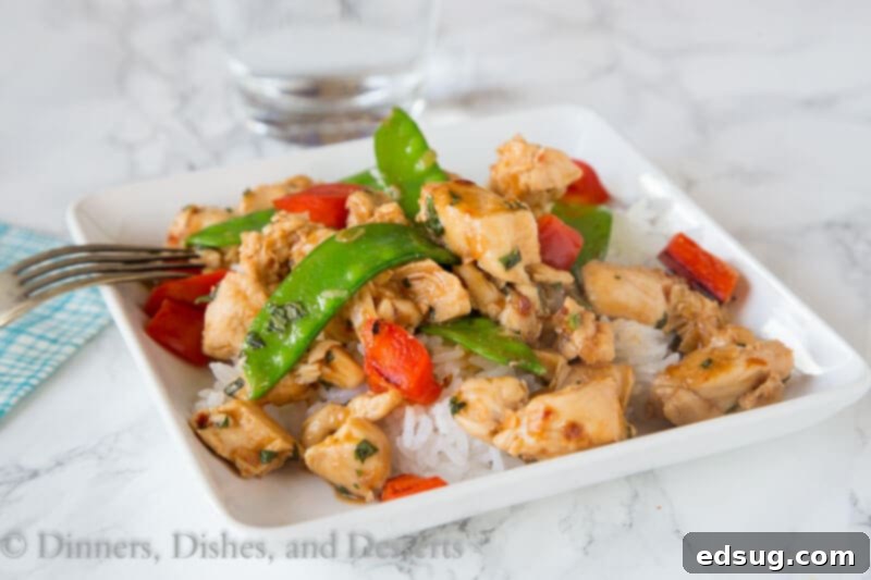 Fiery Basil Chicken 3 A serving of spicy basil chicken, garnished with fresh basil, placed on a white plate next to a bowl of rice.