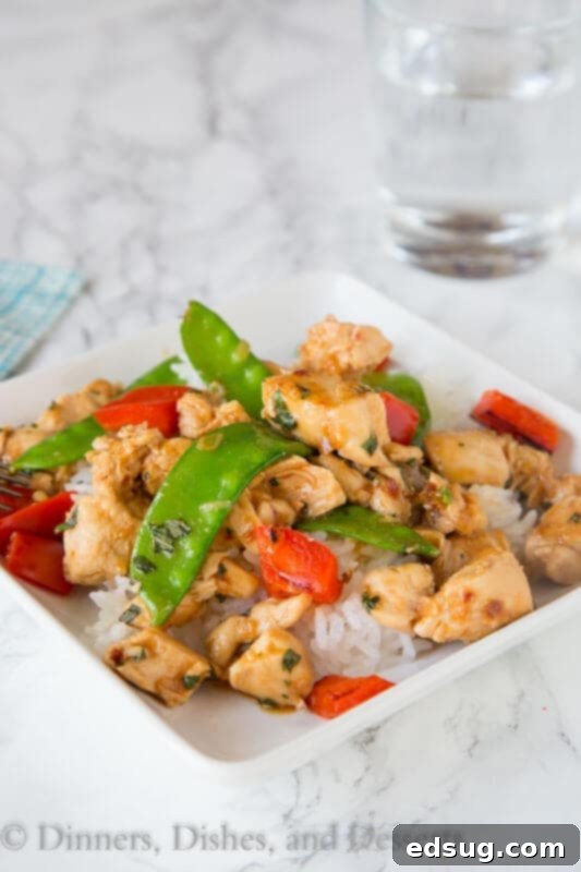 Fiery Basil Chicken 4 Close-up of a serving of spicy basil chicken, showcasing the tender chicken, colorful vegetables, and fresh basil over rice.