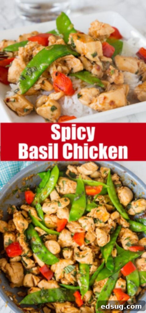 Fiery Basil Chicken 6 Close-up of a plate of Thai basil chicken with an abundance of fresh green vegetables and tender chicken pieces.