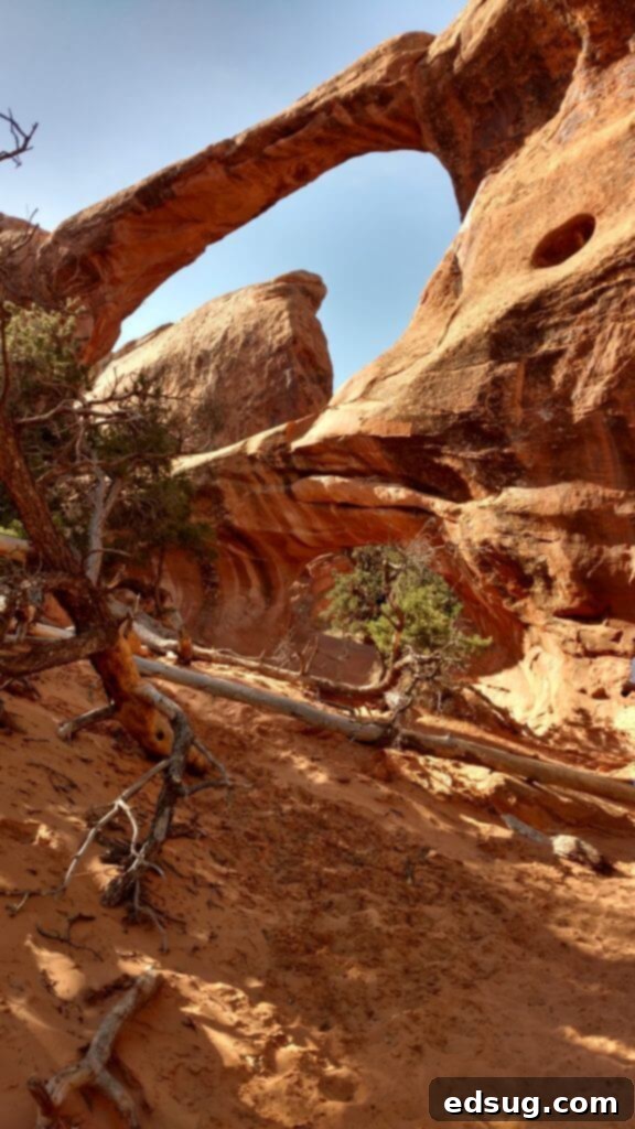 5 Secrets for the Perfect Road Trip 4 Arches National Monument - a stop on our road trip from Colorado to Phoenix