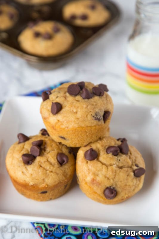 Decadent Peanut Butter Chocolate Chip Muffins 2 Close-up of fluffy Peanut Butter Chocolate Chip Muffins on a plate, ready to be eaten
