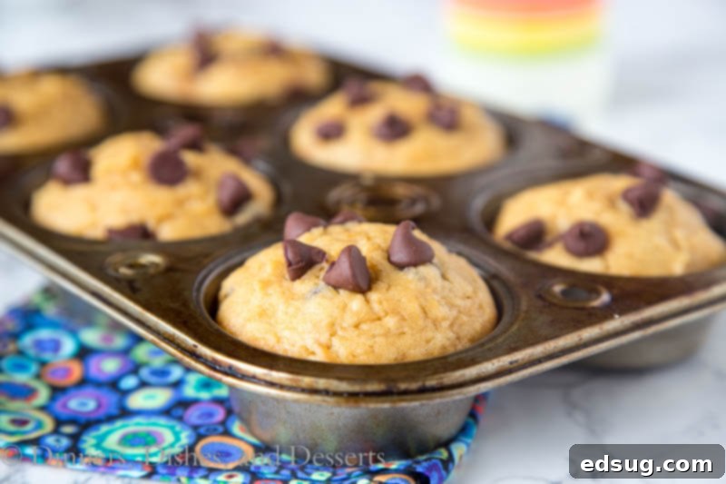 Decadent Peanut Butter Chocolate Chip Muffins 3 Peanut Butter Chocolate Chip Muffins baked in a muffin pan