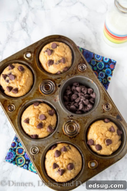 Decadent Peanut Butter Chocolate Chip Muffins 4 A close-up of Peanut Butter Chocolate Chip Muffins in a pan, showcasing their golden tops and melted chocolate
