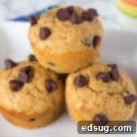 Decadent Peanut Butter Chocolate Chip Muffins 5 Peanut Butter Chocolate Chip Muffins - light and fluffy peanut butter muffins studded with chocolate chips. A peanut butter and chocolate lover's dream come true!