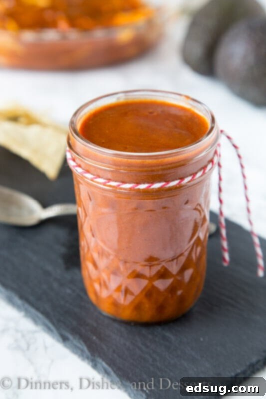 Perfect Homemade Enchilada Sauce 2 A delicious serving of homemade enchilada sauce in a small bowl, garnished with a sprinkle of chili powder