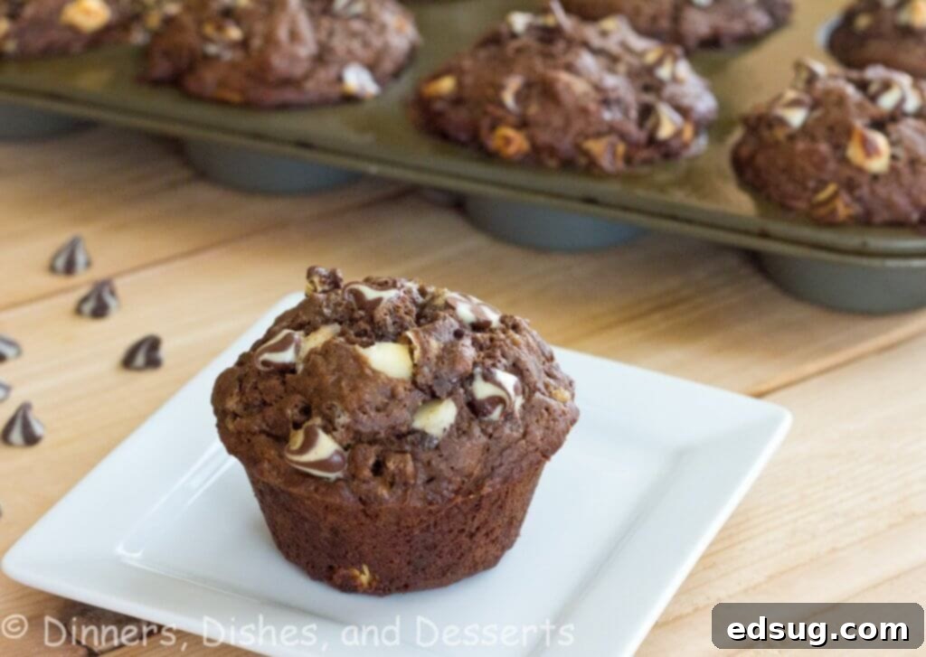 Close-up of freshly baked Chocolate Banana White Chocolate Chip Muffins on a serving plate.