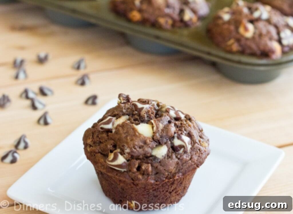 Delicious Chocolate Banana White Chocolate Chip Muffins arranged on a plate.