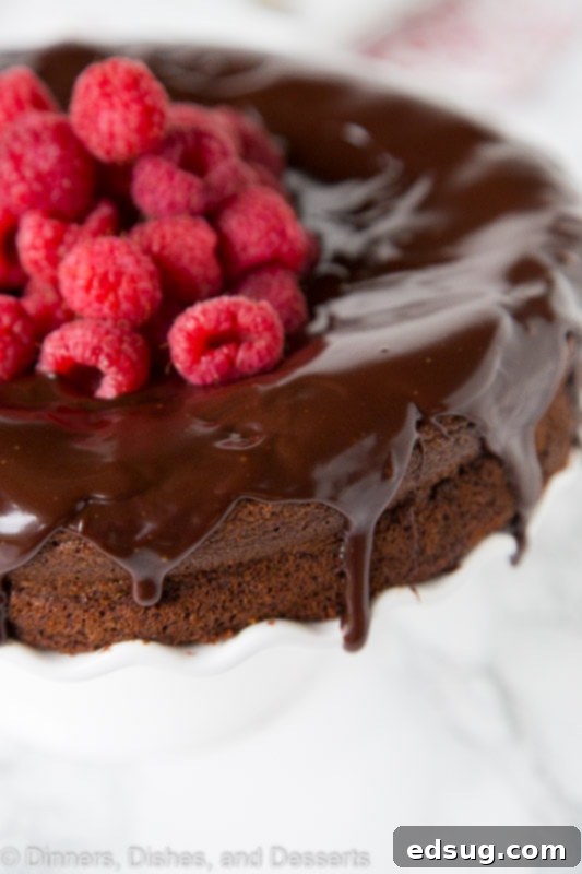 A close up of a slice of rich, fudgy Flourless Nutella Cake topped with fresh raspberries on a white plate, with a fork beside it.
