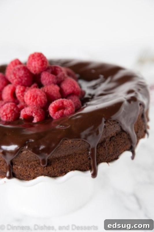 A closer view of a slice of Flourless Nutella Cake with its smooth, dark chocolate ganache and vibrant raspberry topping.