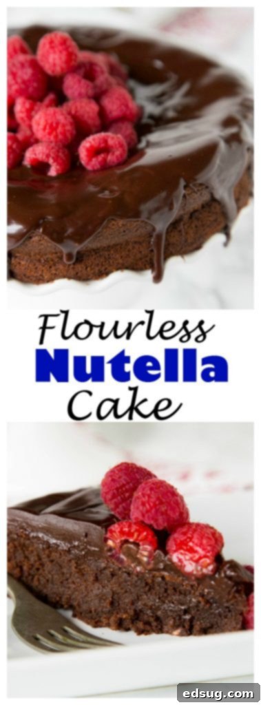 A large, perfectly round Flourless Nutella Cake, beautifully glazed with chocolate ganache and topped with fresh raspberries, ready to be served.