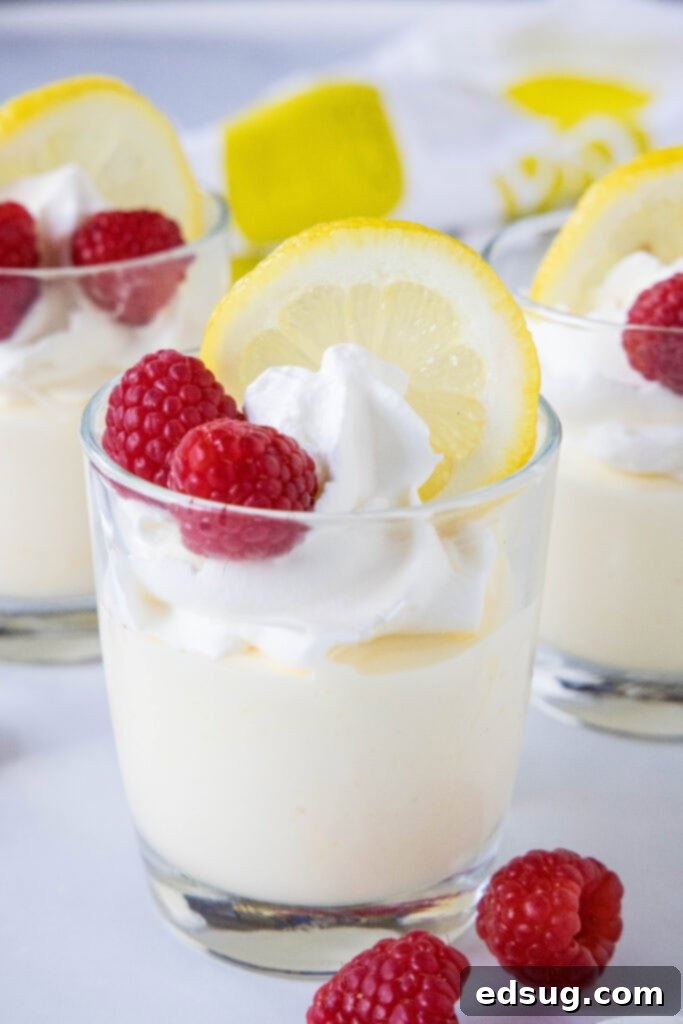 Zesty Lemon Cloud 2 lemon mousse in a cup with whipped cream and a slice of lemon