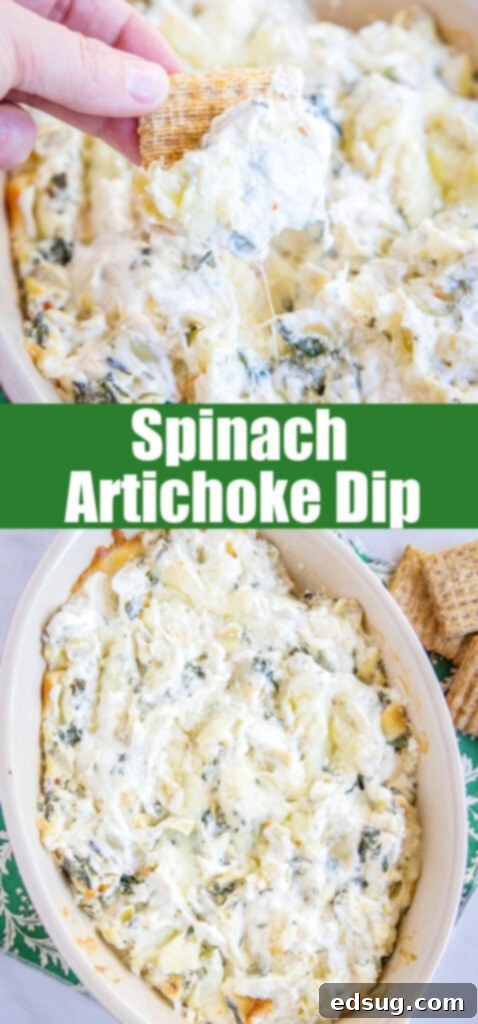 Creamy Spinach Artichoke Dip 7 close up view of creamy spinach artichoke dip on a cracker for pinterest