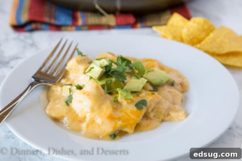 Irresistible White Chicken Enchilada Skillet 3 A plate of white chicken enchilada skillet, garnished with avocado and cilantro