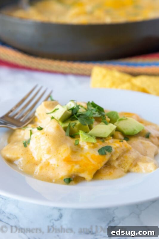 Irresistible White Chicken Enchilada Skillet 4 A close-up shot of white chicken enchilada skillet on a plate, showing the creamy sauce and melted cheese