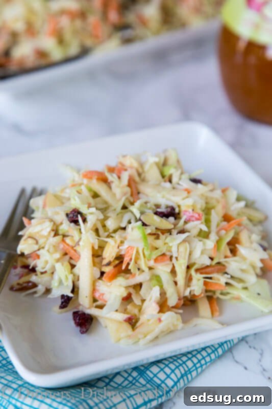 A close up of a plate of food, with Coleslaw and Apple