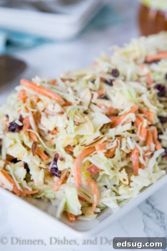 A close up of a plate of food, with Coleslaw and Apple