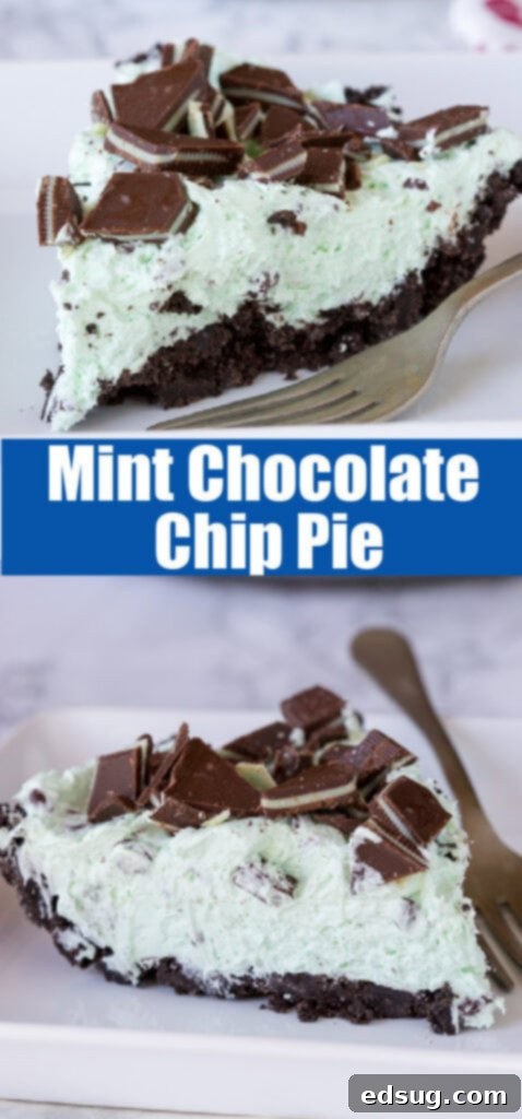 Cool Mint Chocolate Chip Dream Pie 6 Close-up of a generous slice of Mint Chocolate Chip Pie, showing the intricate layers and inviting texture