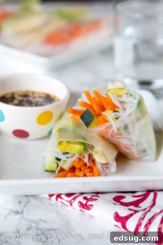 Delicious Copycat Tokyo Joes Chicken Spring Rolls served on a plate with dipping sauce