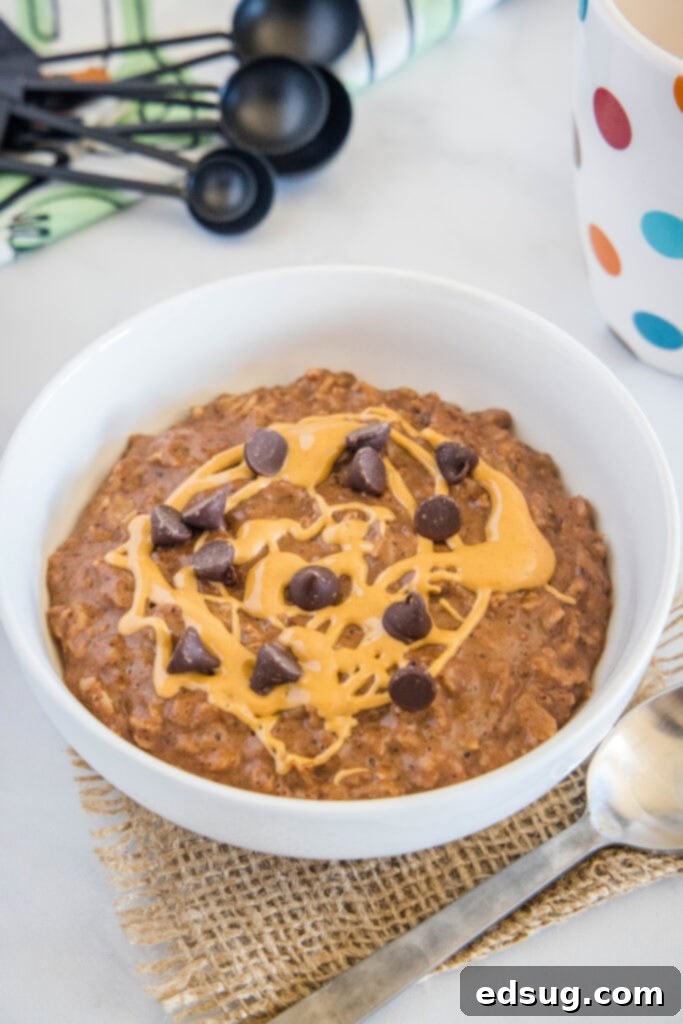 Decadent Chocolate Oatmeal 2 chocolate oatmeal topped with peanut butter and chocolate chips in white bowl