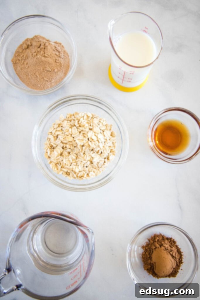 Decadent Chocolate Oatmeal 3 chocolate oatmeal ingredients