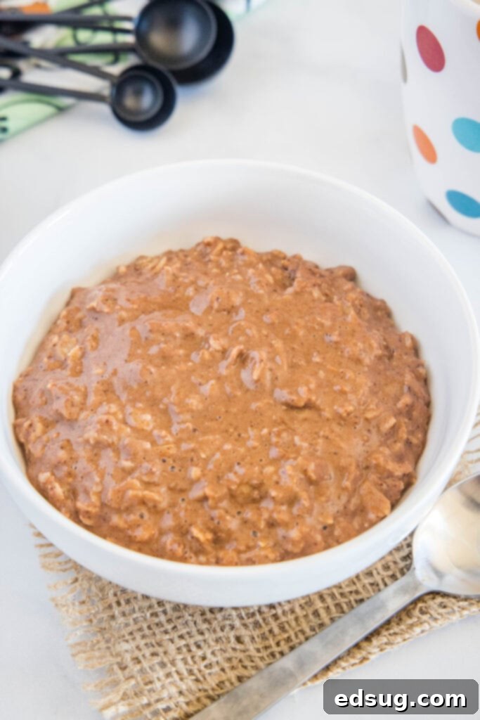 Decadent Chocolate Oatmeal 5 chocolate oatmeal in a white bowl