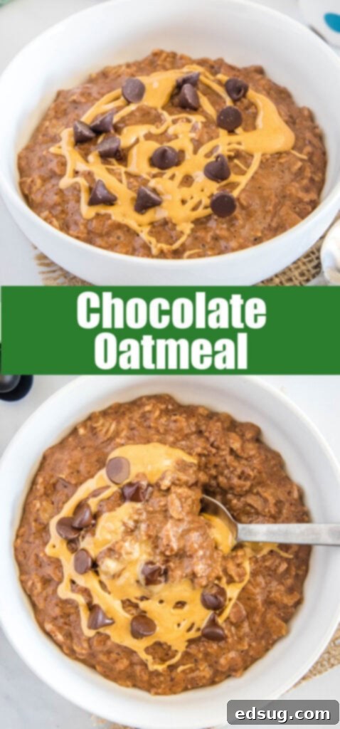 Decadent Chocolate Oatmeal 6 close up bowl of chocolate oatmeal
