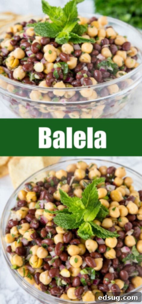 Balela Salad: Mediterranean Chickpea Medley 5 Close up view of the finished Balela Salad with fresh herbs.