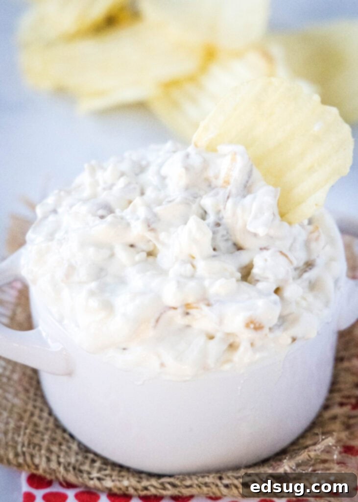 Decadent Caramelized Onion Dip 5 A crispy potato chip being dipped into a creamy, homemade caramelized onion dip.